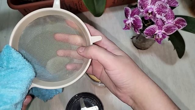 Срочно НАЛЕЙТЕ в орхидеи ЭТО! Цветоносы и корни ПОЛЕЗУТ СО ВСЕХ ЩЕЛЕЙ! смотреть онлайн