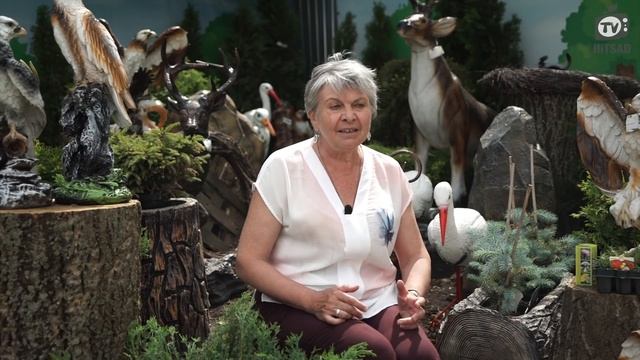 Самый Страшный Сорняк Портулак ✔️ Как избавится от Сорняка ? Советы От Хитсад ТВ хитсад медиа