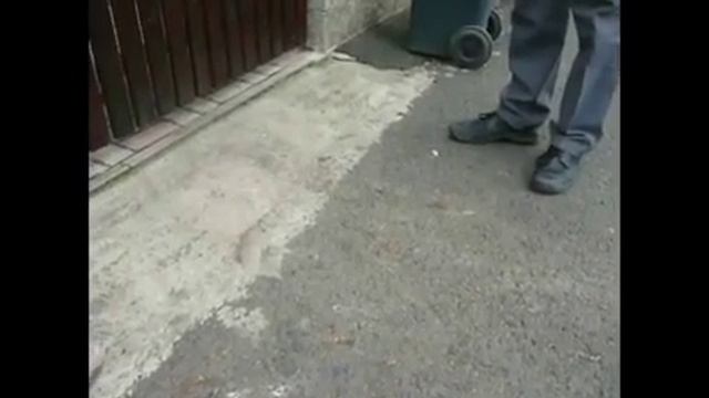 CTOП XAM Matyunina нехочет вернуть что забрала.flv смотреть онлайн