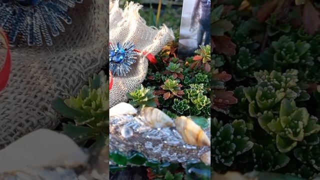 Руна дня?Хагалаз??☀️ смотреть онлайн