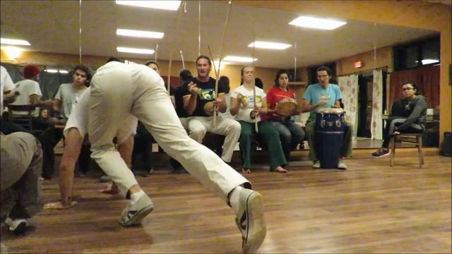 Professor Avi and Pantera OuroVerde Flagstaff! смотреть онлайн