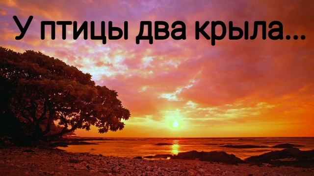 У птицы два крыла - христианская песня. смотреть онлайн