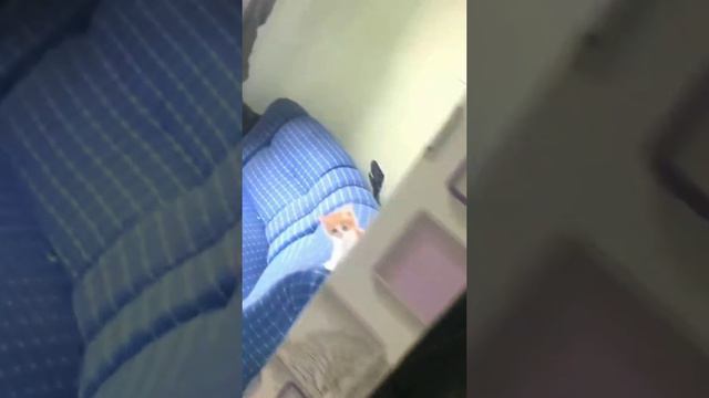 video_5@21-04-2024_15-01-56 смотреть онлайн