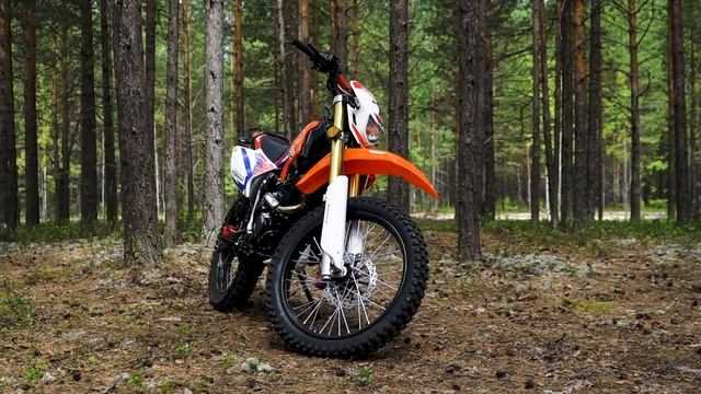 Красавец Мотоцикл PROMAX PRO SPORT 3-SERIES обзор и отзыв