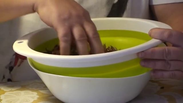 Блог Светланы Кацаповой 14 выпуск (всё про семена) смотреть онлайн