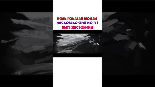 Чем мы отличается от животных? смотреть онлайн