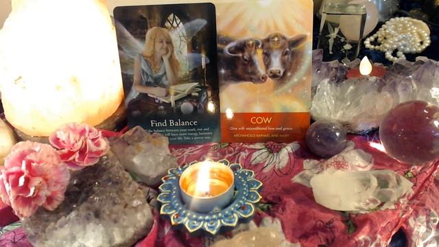 ARE YOU HAVING FUN? Daily Fairy and Animal oracle. TIMELESS purejoytarot смотреть онлайн