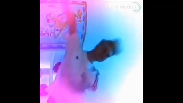 Попугай барсук мышь крыса бурундук.feat Данкар обалдел --- 1 минута смотреть онлайн