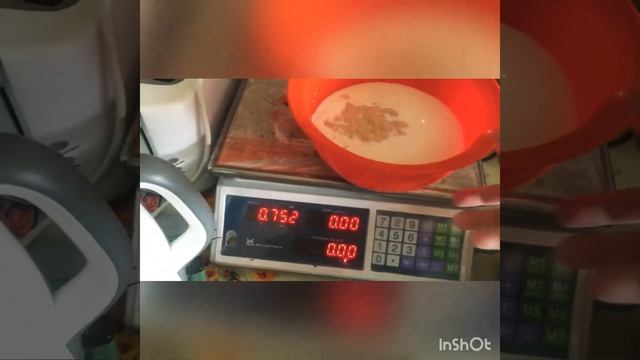 Как начать прикорм козлят. Чем и как можно кормить 2х месячных козлят? смотреть онлайн