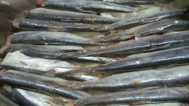 Сборник рецептов