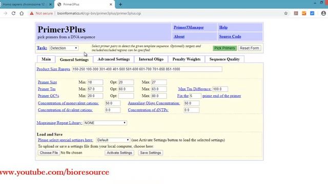 How to design primers and probes: Primer Designing using Primer3Plus смотреть онлайн