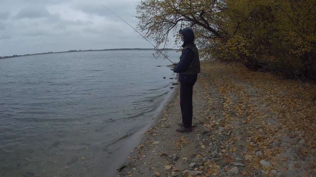 Обзор спиннинга Fishing ROI Gryphon