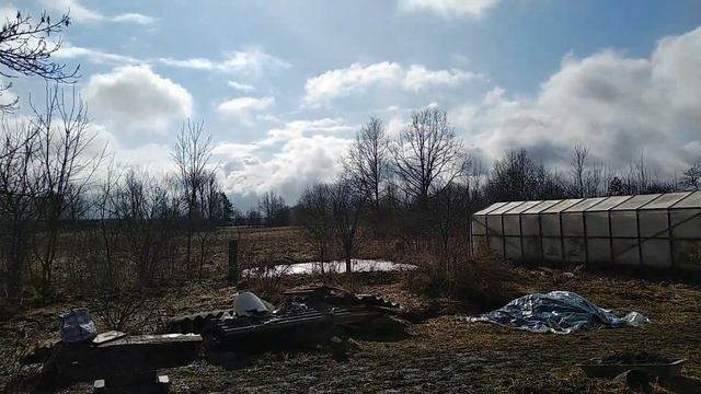 Теплица. [ День второй ] смотреть онлайн