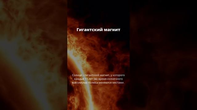 Звезда по имени Солнце таит много загадок! смотреть онлайн
