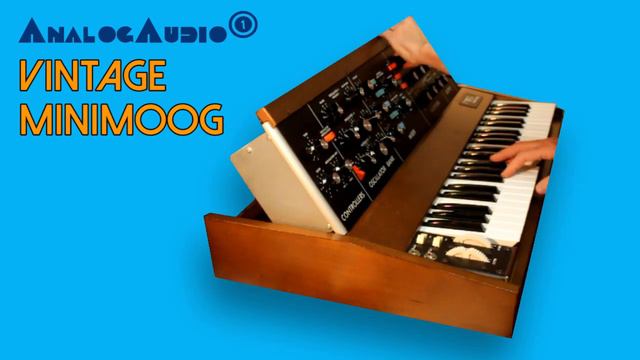 VINTAGE MINIMOOG Model D Analog Synthesizer 1979 | HD DEMO