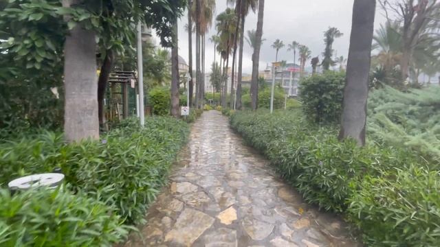 Один день из жизни программиста в Турции смотреть онлайн