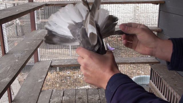 Що посієш, те й пожнеш смотреть онлайн