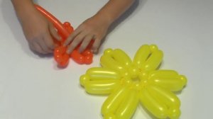 Гайлардия цветы из шаров Flower Gaylardiya of balloons Twisting