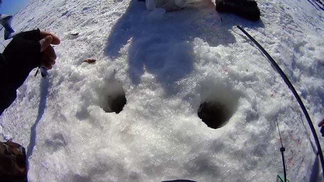 Они НЕ Лезут В Лунку!!! Ловля леща. Рыбалка на леща. смотреть онлайн