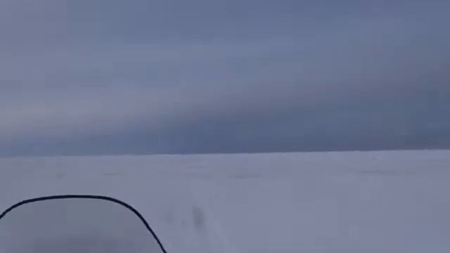 The поиск рыбы смотреть онлайн