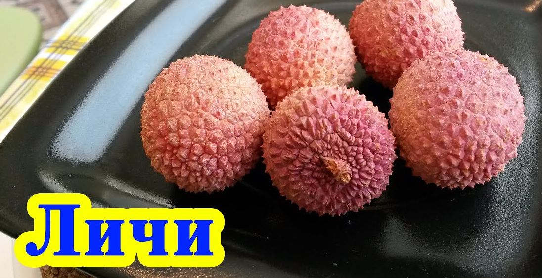 Как вырастить личи. смотреть онлайн