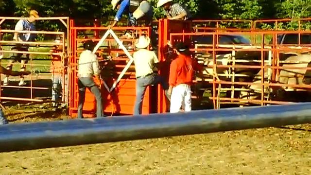 MAYO 8 2010 PLAZA MEXiCOATHENS GA .HiJO DE CAMELiA MONTADO X EL CHEMO.AVI смотреть онлайн