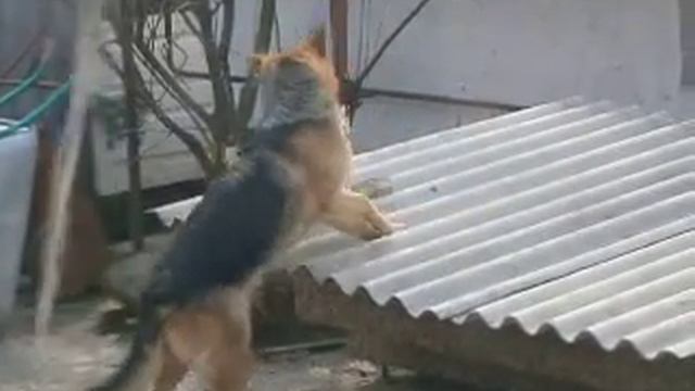 Дружба с детства смотреть онлайн