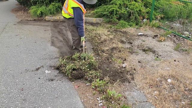 NASTY Public NUISANCE TRANSFORMATION, #lawnmowing #grasscutting #mowing #lawn #lawncare #overgrown