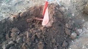 мотоблок ФАВОРИТ - пашем (2016г)