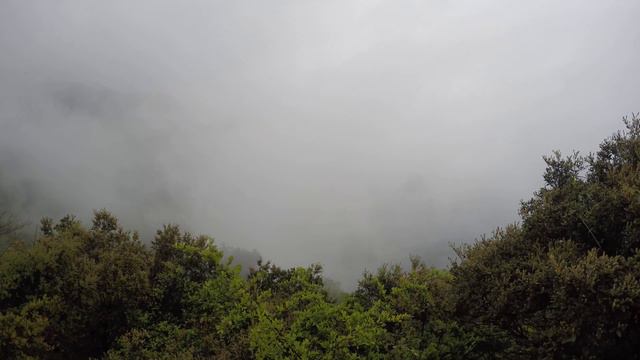 Чжанцзяцзе смотреть онлайн