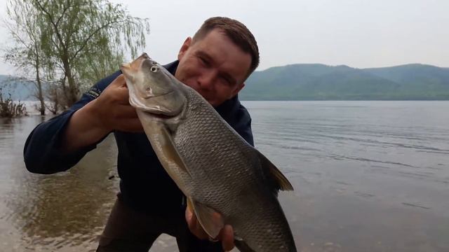 Зачёт Жерех смотреть онлайн