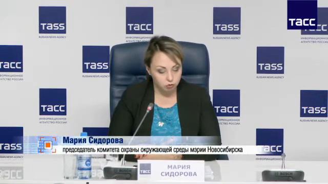 210219 Бездомные животные 480p смотреть онлайн