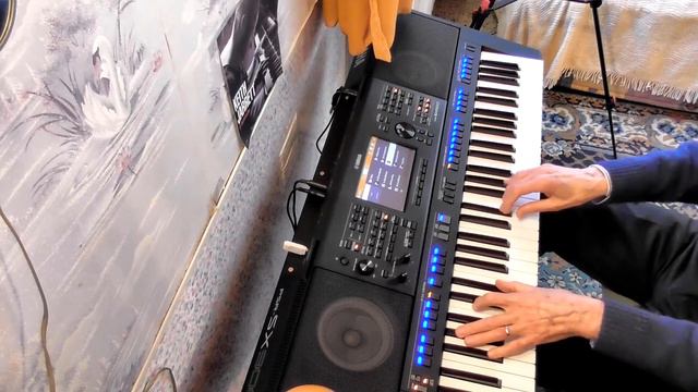 Monkey Me Yamaha PSR SX 900 15 avril 2021 смотреть онлайн