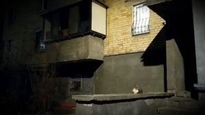 Дурной вкус - Пластинки (TILT VIDEO)