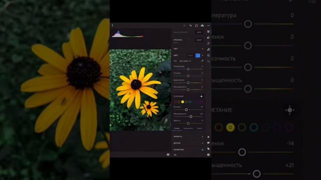 Мобильная фотография. Как быстро обработать фото в телефоне с помощью приложения lightroom и vsco смотреть онлайн