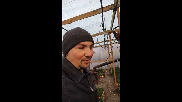 Лук на зелень,перо смотреть онлайн