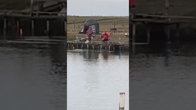 форель,200 кг . В субботу 400 форелевая ,250 вип воскресенье,300 кг форевая, вип 3 кг путёвка смотреть онлайн