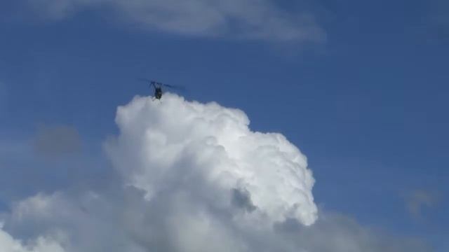 T-REX450Pro Strong wind смотреть онлайн