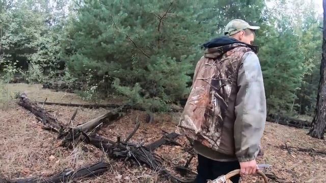 СЛАБОНЕРВНЫМ НЕ СМОТРЕТЬ!! ПОДОСИНОВИКОВ просто не МЕРЕНО! Сбор грибов 2023 смотреть онлайн