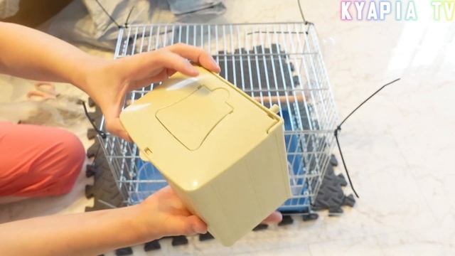 【衝撃】中国の激安ケージと巣を使ってみたらとんでもない事になった｜Bothyi 鳥かご レビュー #1,674 смотреть онлайн