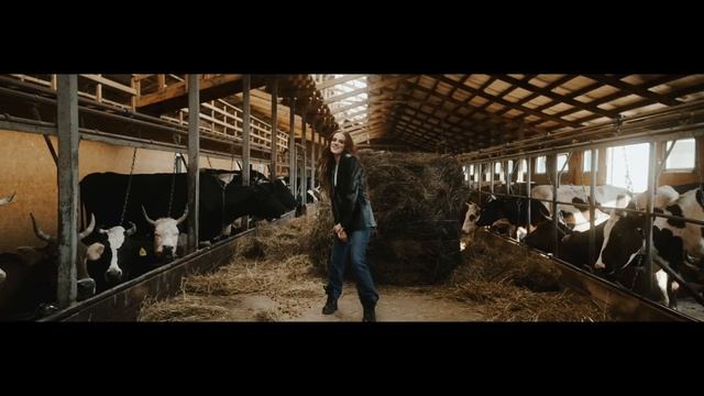 KDDK, The Hatters - WILDFIRE (Official Video)