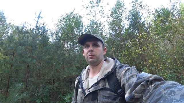 Грибное разнообразие октября. Рыжики, рядовки, белые, опята. смотреть онлайн