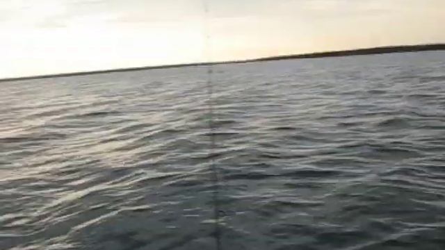 Щука на реке Тобол. Казахстан август 2016  часть 1