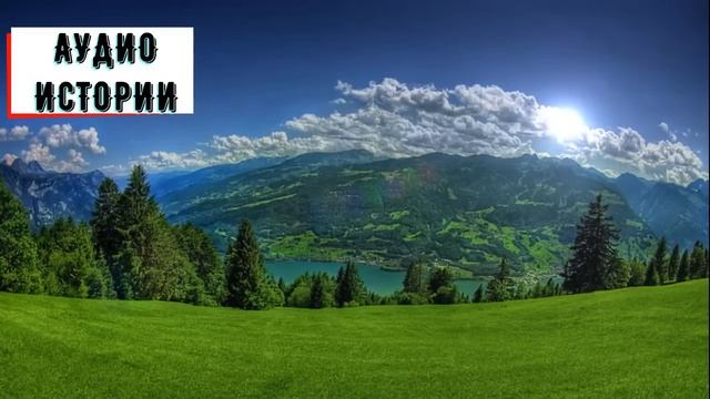 «СЛУШАЙ СЮДА, ТУПАЯ КУРИЦА…» - БОЛЬШЕ ТЫ НИЧЕГО НЕ ПОЛУЧИШЬ. ОН ДАЖЕ НЕ ПРЕЛСТАВЛЯЛ ЧТО ЕГО ЖДЕТ... смотреть онлайн