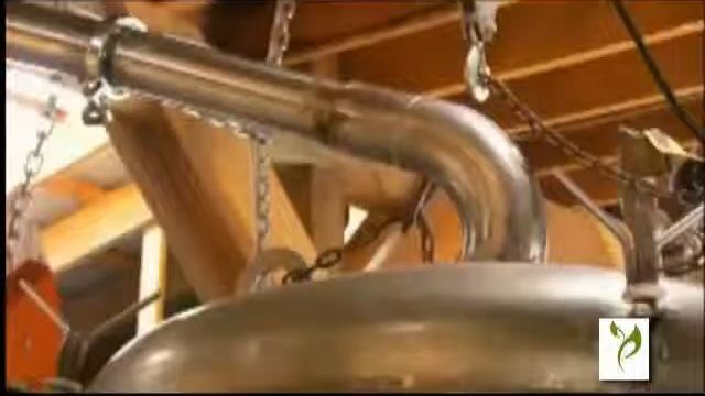 Cinnamomum Camphora Camphor Essential Oil Producer смотреть онлайн