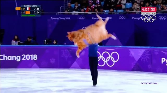 Figure Skating Cat смотреть онлайн