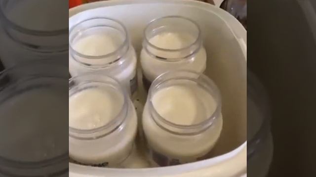 Эльбефит смотреть онлайн