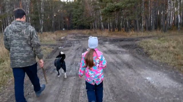 Приехали и Сразу отправились на Детскую Площадку/В Сосновый Бор за Банным Веником с Собакой/17.10.2 смотреть онлайн