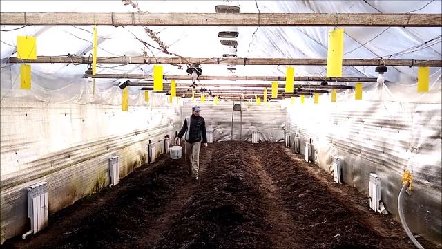 Уборка, мойка стен в теплице. смотреть онлайн