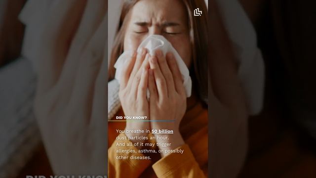 What causes allergies? Maybe it's the air in your house... смотреть онлайн